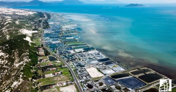 Bà Rịa - Vũng Tàu yêu cầu dừng ngay việc phân lô bán nền đất ruộng muối