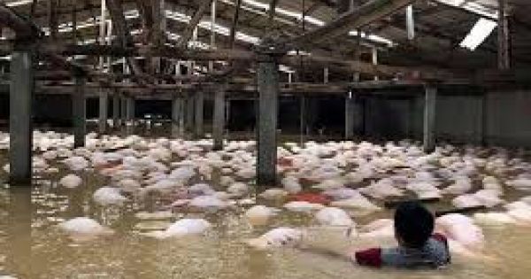 Thanh Hóa: Cơn bão số 4 khiến 3 người thiệt mạng và mất tích, hàng ngàn ngôi nhà bị nước nhấn chìm