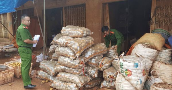 Bắt quả tang nhiều sạp phù phép khoai tây Trung Quốc thành hàng Đà Lạt