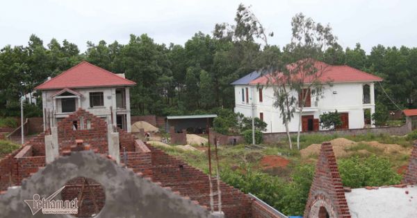 Vĩnh Phúc thanh tra toàn diện dãy biệt thự “mọc” trên đất rừng
