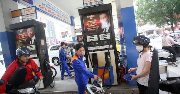 Rút Luật Thuế bảo vệ môi trường (sửa đổi) ra khỏi Chương trình xây dựng luật, pháp lệnh năm 2019