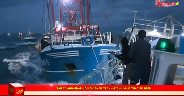 Tàu cá Anh-Pháp hỗn chiến vì tranh giành khai thác sò điệp