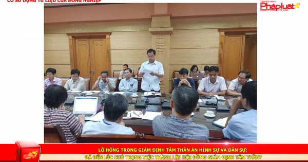 Lỗ hổng trong giám định tâm thần án hình sự và dân sự: Đã đến lúc chú trọng việc thành lập hội đồng giám định tâm thần?