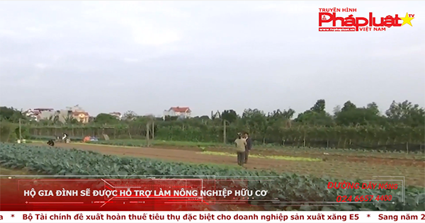 Thị trường hôm nay 04/09/2018