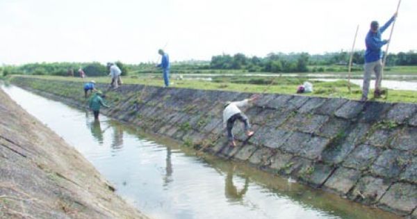 UBND TP Hải Phòng chuyển hồ sơ làm rõ nghi vấn tiêu cực trong chi tiêu thủy lợi phí ở xã Vĩnh Phong