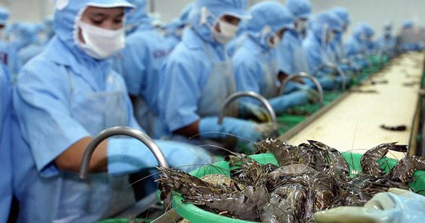 Điểm báo 12/09/2018: Mỹ giảm mạnh thuế chống bán phá giá tôm Việt Nam