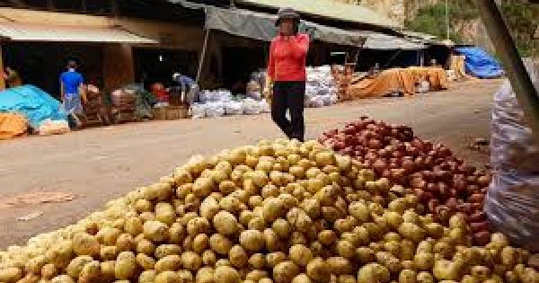 Đường đi của nông sản Trung Quốc “đội lốt” Đà Lạt: Cơ quan chức năng nói gì