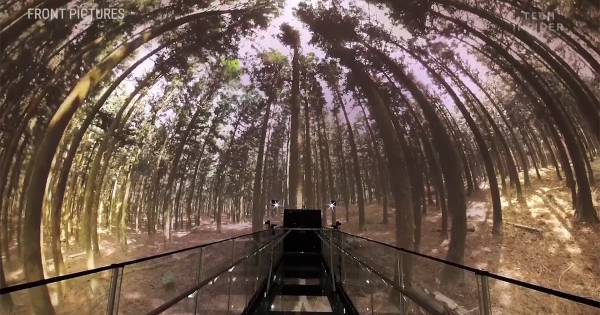 Rạp hát công nghệ thực tế ảo thu hút du khách ở Hàn Quốc