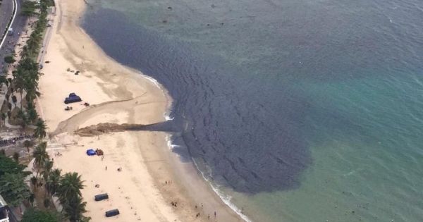 Nước thải đen kịt, hôi thối đổ ra vịnh Nha Trang