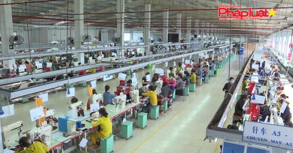 Quảng Ngãi: Kim ngạch xuất nhập khẩu đạt 960 triệu USD