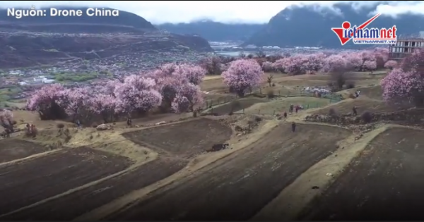 Những dòng sông kì lạ nhất thế giới