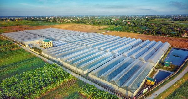 The Pan Group hoàn tất phát hành 10% CP cho tập đoàn Sojitz