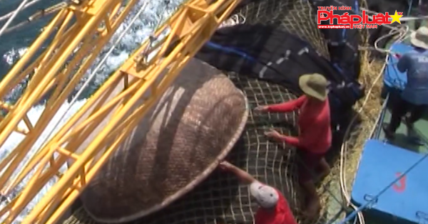 QUẢNG NGÃI: Đánh giá hiệu quả của tàu cá đóng mới theo nghị định 67