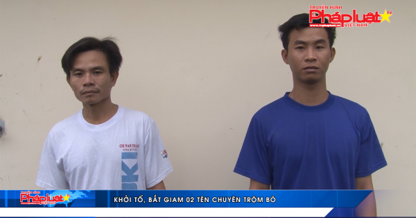Khởi tố, bắt giam hai tên chuyên trộm bò