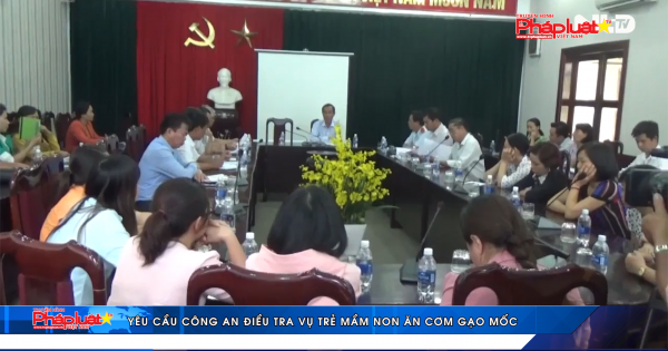 Yêu cầu công an điều tra vụ trẻ mầm non ăn cơm gạo mốc