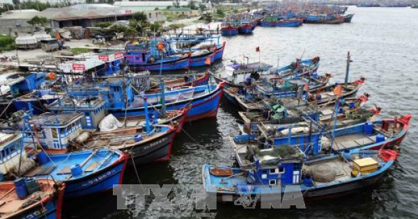 Dừng xây dựng tuyến luồng Thọ Quang tại Đà Nẵng