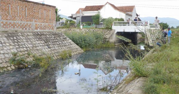 Tạm đình chỉ hoạt động công ty xả thải khiến học sinh phải đeo khẩu trang ngồi học