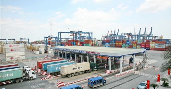 Liên quan đến 213 container “mất tích” xử lý hai phó cục trưởng