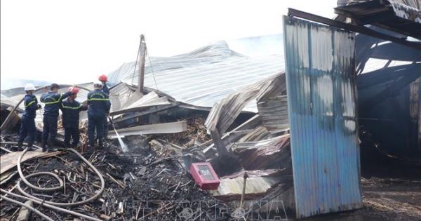 Bình Định: Hỏa hoạn thiêu rụi kho gỗ rộng 1.000m2