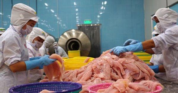 Hiệp định EVFTA – Động lực thúc đẩy dòng vốn FDI từ EU vào Việt Nam