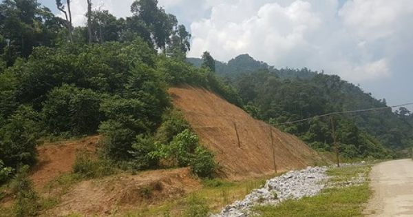 Thanh tra làm việc với người tố cáo rừng Thần Sa bị xâm hại để khai thác vàng