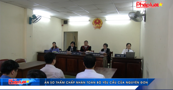 Án sơ thẩm chấp nhận toàn bộ yêu cầu của nguyên đơn