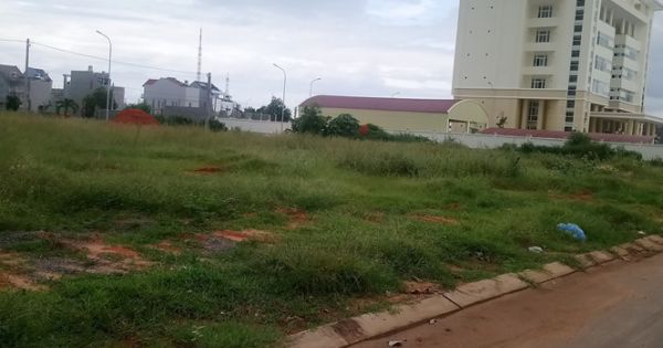 “Xã hội đen” náo loạn phiên đấu giá đất ở Bình Thuận