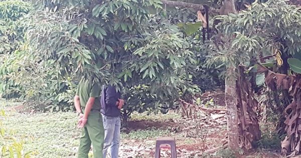 Chủ tịch xã chết trong tư thế treo cổ trên cây sầu riêng