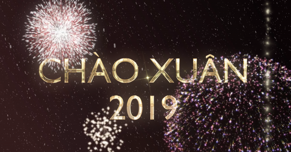 Chuyên mục đặc biệt: Chào Xuân 2019- Vững tin chiến thắng
