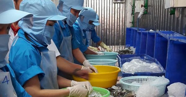 Hiệp định thương mại tự do Việt Nam - EU: Rộng cửa cho xuất khẩu