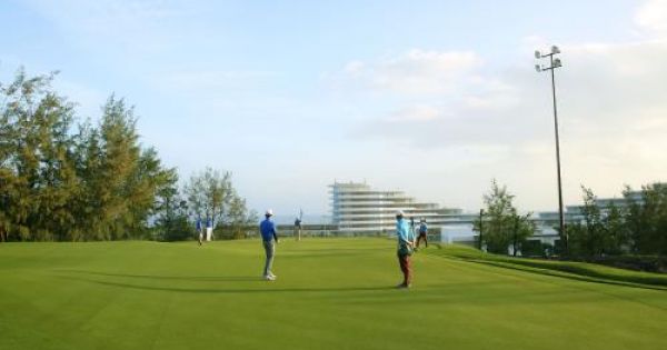Gia Lai giao gần 200 ha rừng thông cho FLC làm sân golf