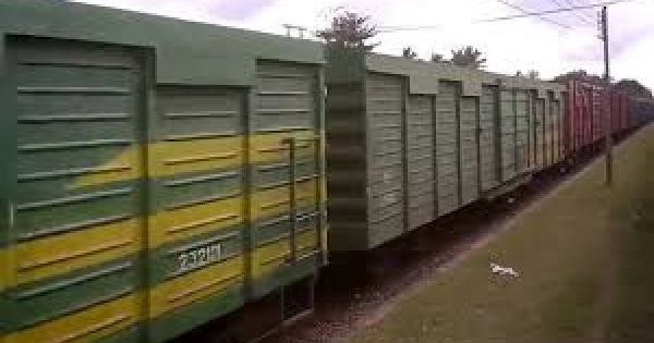 Để đường sắt an toàn, cần có 7.400 tỉ đồng