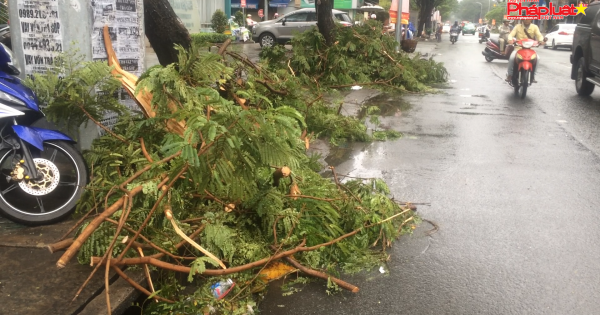 Nam Trung bộ và Đông Nam bộ tiếp tục có mưa lớn