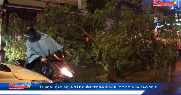 TP HCM: Ngập chìm trong biển nước do ảnh hưởng mưa bão