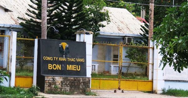 Công ty vàng Bồng Miêu phá sản