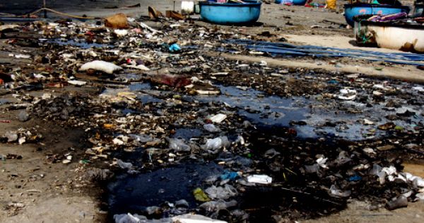 Nước thải sơ chế hải sản xả thẳng xuống biển Bà Rịa - Vũng Tàu