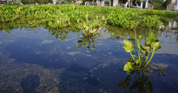 Mất nửa tháng để khắc phục sự cố tràn 4.000 lít dầu ở Thanh Hóa