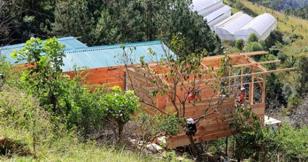 Tháo dỡ hàng loạt nhà không phép ở Đà Lạt