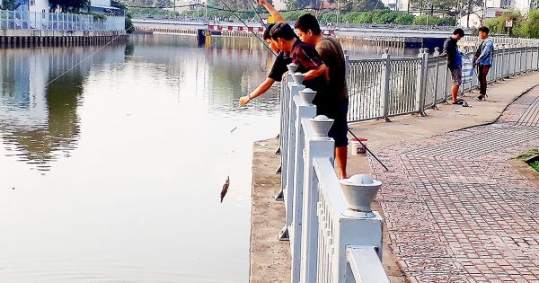 Vô tư câu cá trên kênh Nhiêu Lộc bên cạnh biển cấm