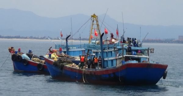 Quảng Bình: Xử phạt 2 tàu giã cào trái phép