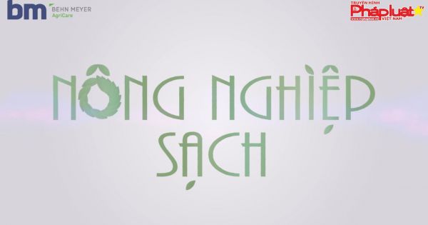 Nông nghiệp sạch số 1: Sử dụng phân bón gốc cho cây sầu riêng