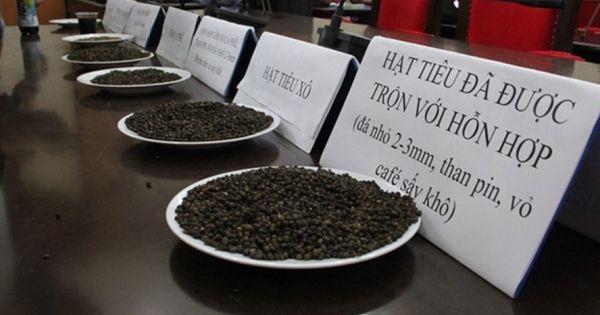 Xét xử vụ dùng lõi pin trộn vào hồ tiêu