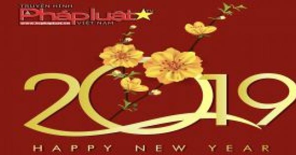 Các điểm ăn chơi ở Sài Gòn cho người ngại đi xa dịp Tết Dương lịch