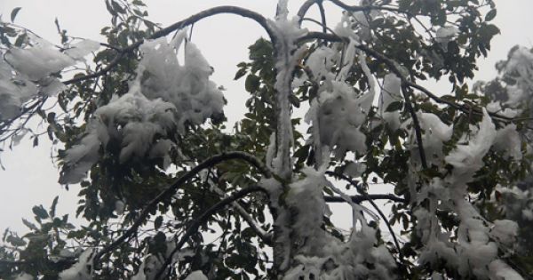 Nhiều khu vực miền Bắc rét dưới 10 độ