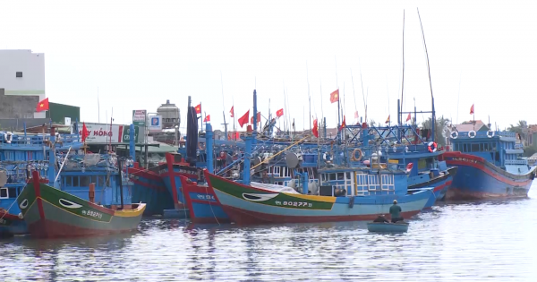 Ngư dân lựa chọn đúng ngư trường truyền thống