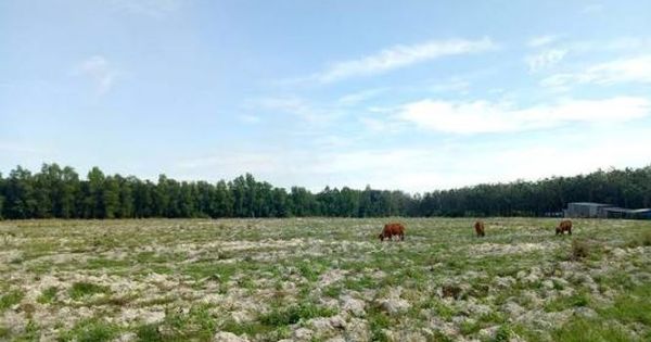 Hàng loạt dự án ở Bình Dương dừng bán 