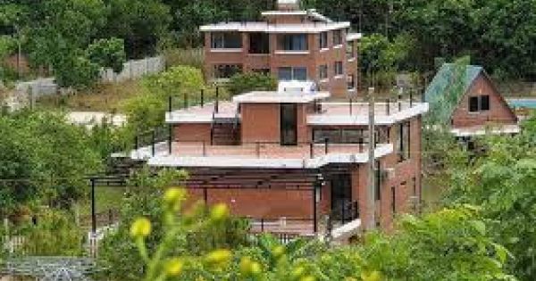 Huyện Sóc Sơn nêu lý do việc cưỡng chế vi phạm “xẻ thịt” đất rừng Sóc