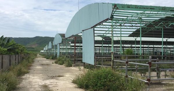 Khởi tố, bắt tạm giam nguyên Phó tổng giám đốc BIDV Đoàn Ánh Sáng và 5 bị can