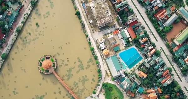 Dự án trăm tỷ trồng cây giữa đường: Lý giải sự lạ