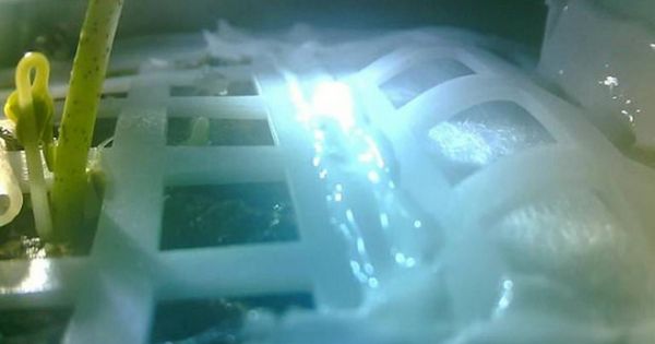 Trung Quốc trở thành nước đầu tiên trồng cây trên mặt trăng